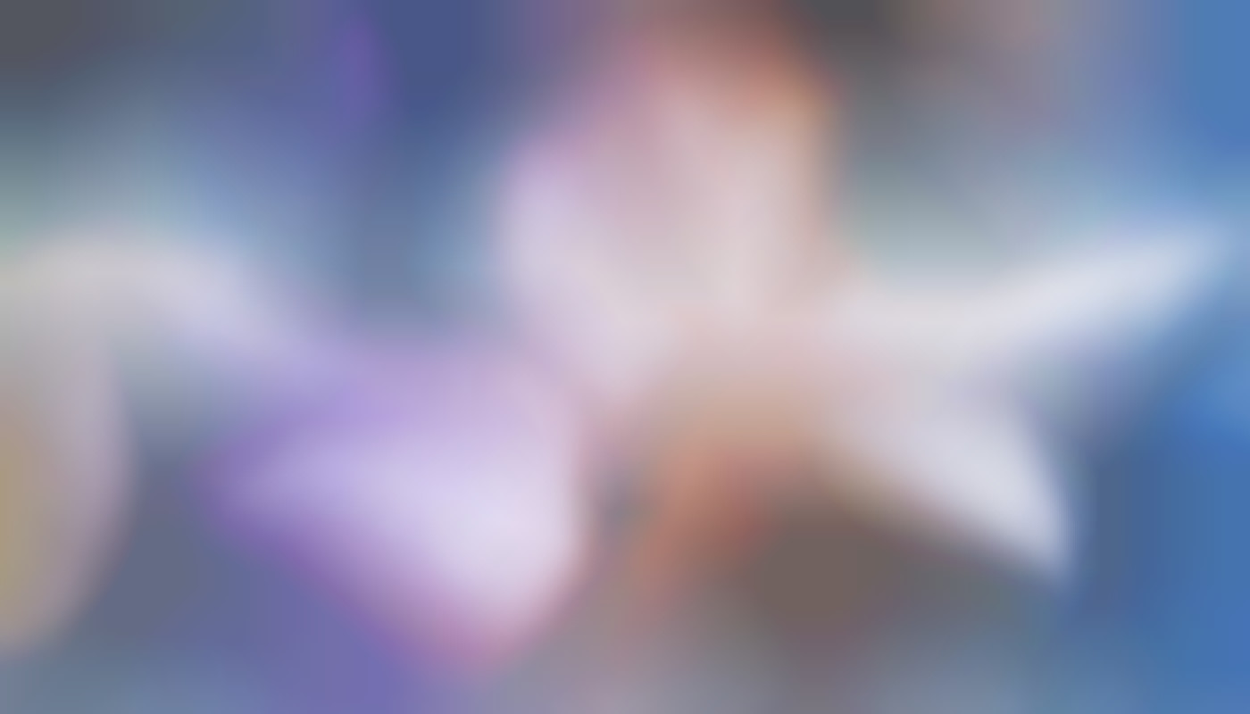 Rencontrer sans clichés : récit d’un premier rendez-vous transgenre